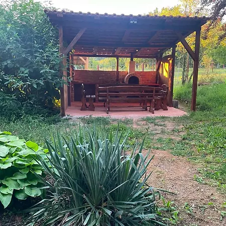 Holiday home Tulipan Vendeghaz *