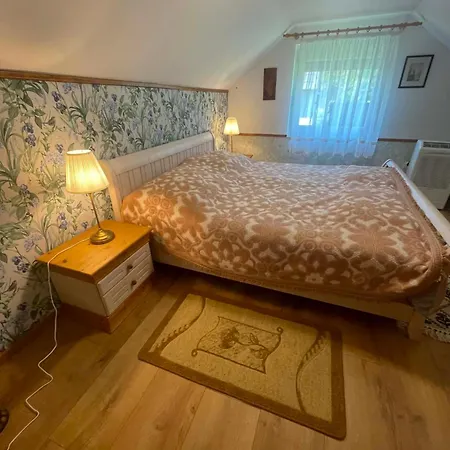 Tulipan Vendeghaz Holiday home